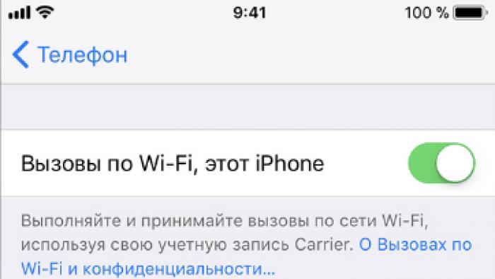 Communication without a network: operators allowed Russians to call on Wi-Fi Mts wi fi 30 hours a month