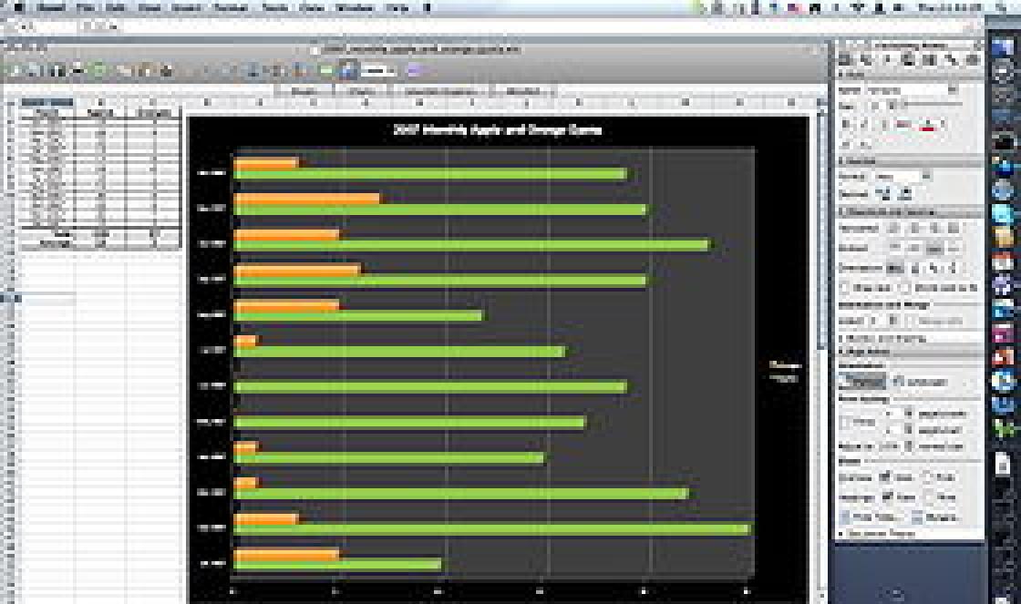 Microsoft Excel program